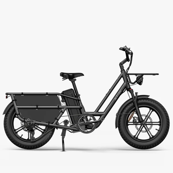 Vélo électrique Fiido T2