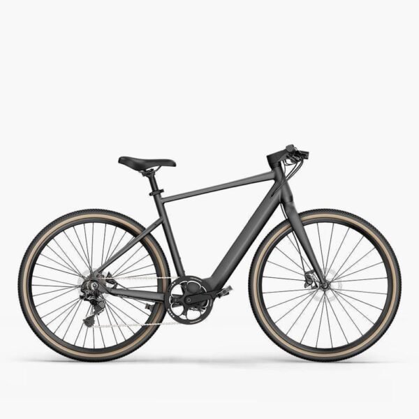 Fiido C21 - Gravel Vélo électrique Léger