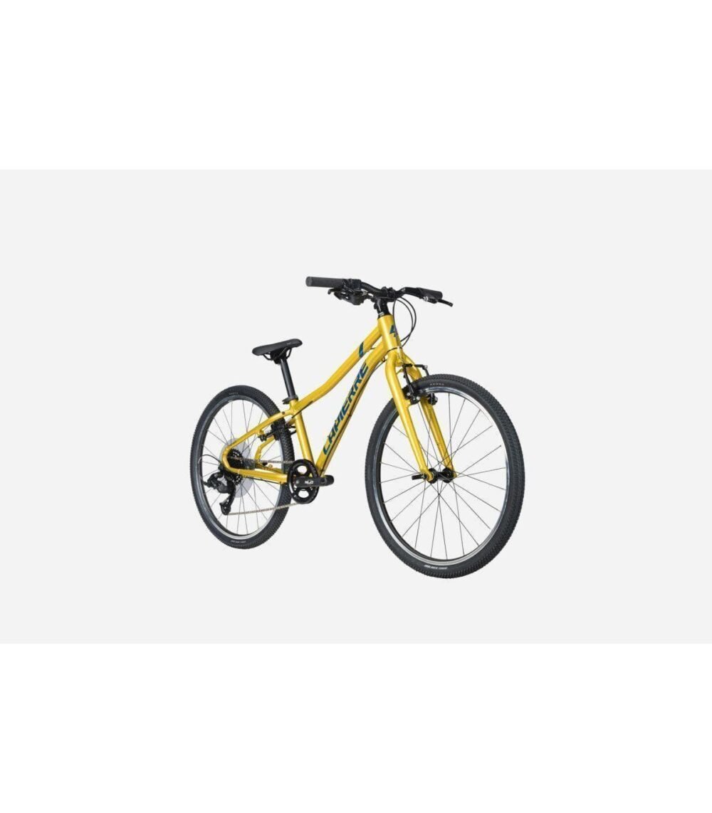 VTT Junior Lapierre PRORACE 24 SL 2025 – Image 2