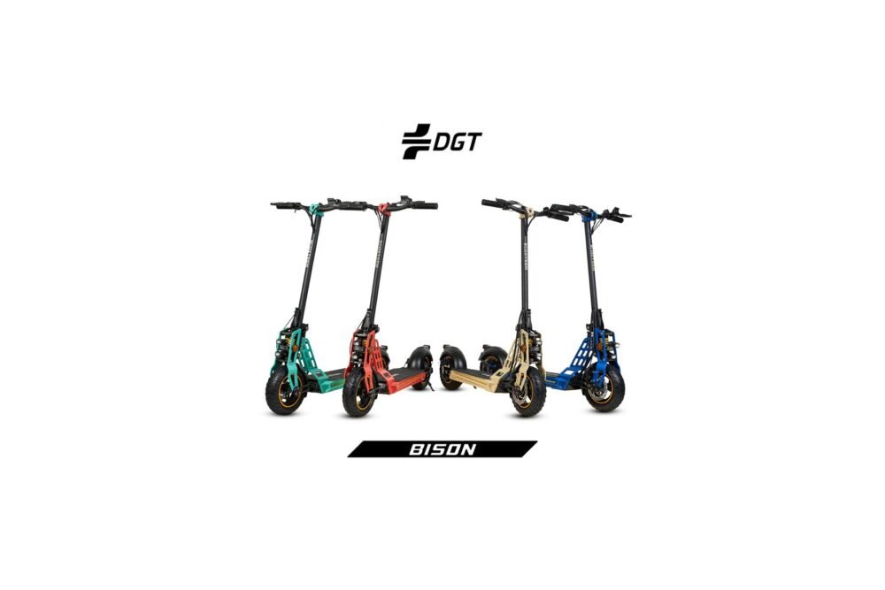 Bison 800W Trottinette électrique 10 pouces