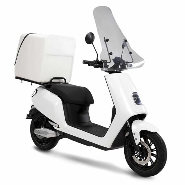 Scooter électrique LVNENG S5 Delivery